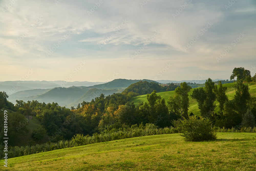 Countryside, summer landscape near Modena, Emilia-Romagna, Italy. Countryside, summer landscape near Modena, Emilia-Romagna, Italy.
