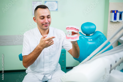 Positive doctor in white uniform showing mock jaw with teeth while sitting in dental office