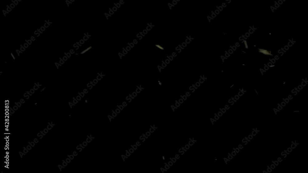 A lot of insects flies at night time. Many mayfly Insect flies on a black background. A lot of insects flies at night time. Many mayfly Insect flies on a black background.