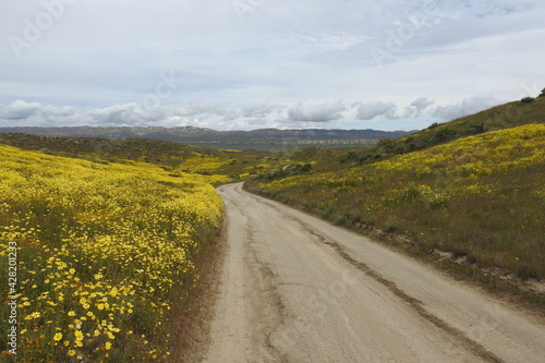 A scenic dirt road that winds through the Carrizo Plain National Monument  San Luis Obispo County  California.