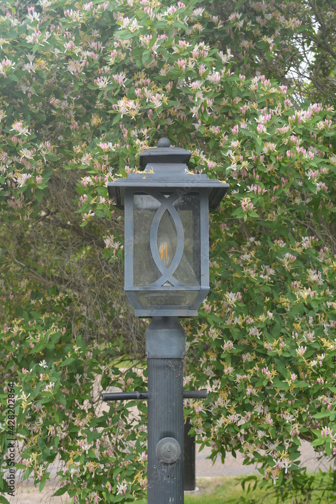 lantern lamp post