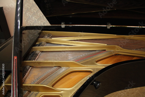 Classic Grand Piano inside view with Gold frame strings and pegs under opened cover , classical music equipment