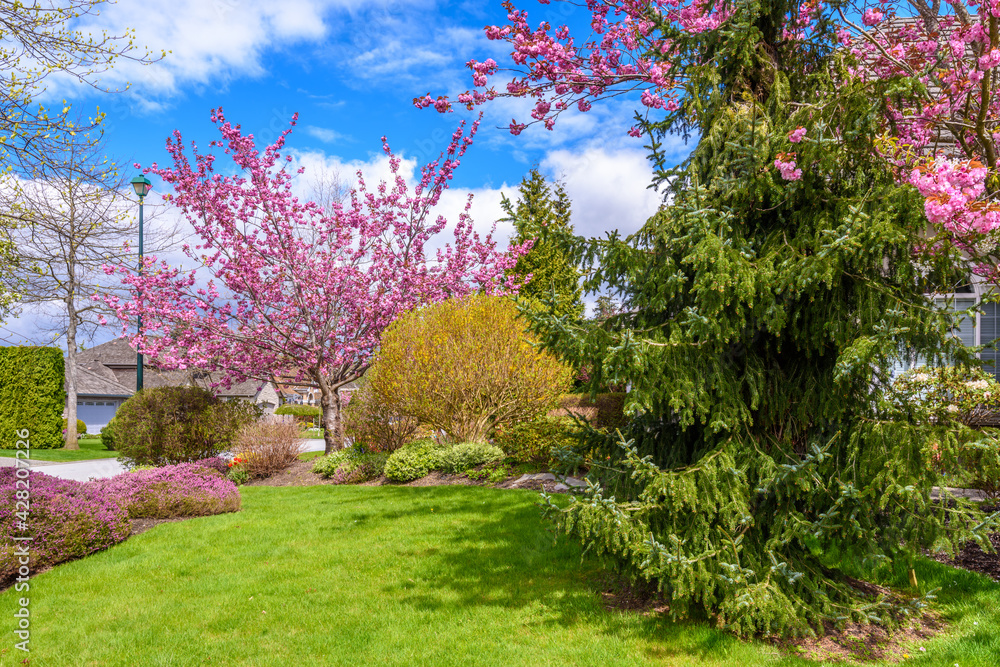 Gorgeous outdoor landscape in Vancouver, Canada.