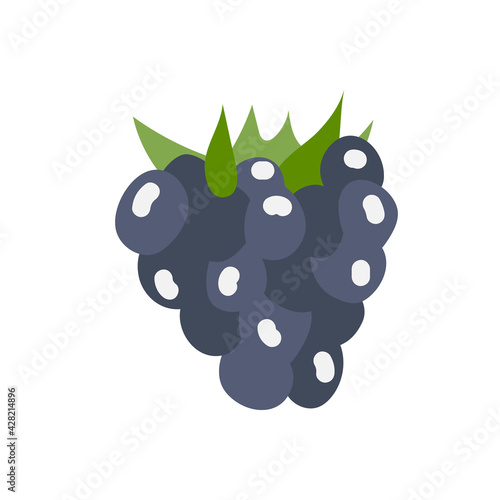 A ripe blackberry berry. The element is isolated on a white background. Vector illustration.