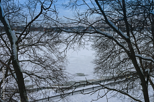 Black bare tree branches against the background of the winter cloudy blue sky