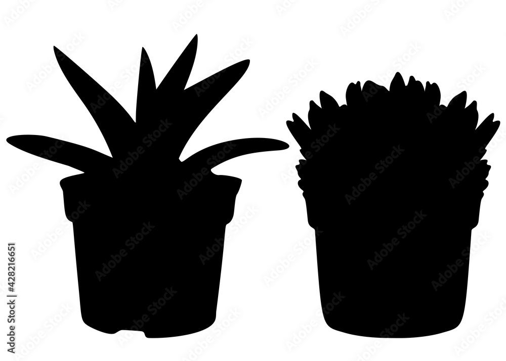 Indoor decorative flowers in the set. Vector image. Indoor decorative flowers in the set. Vector image.