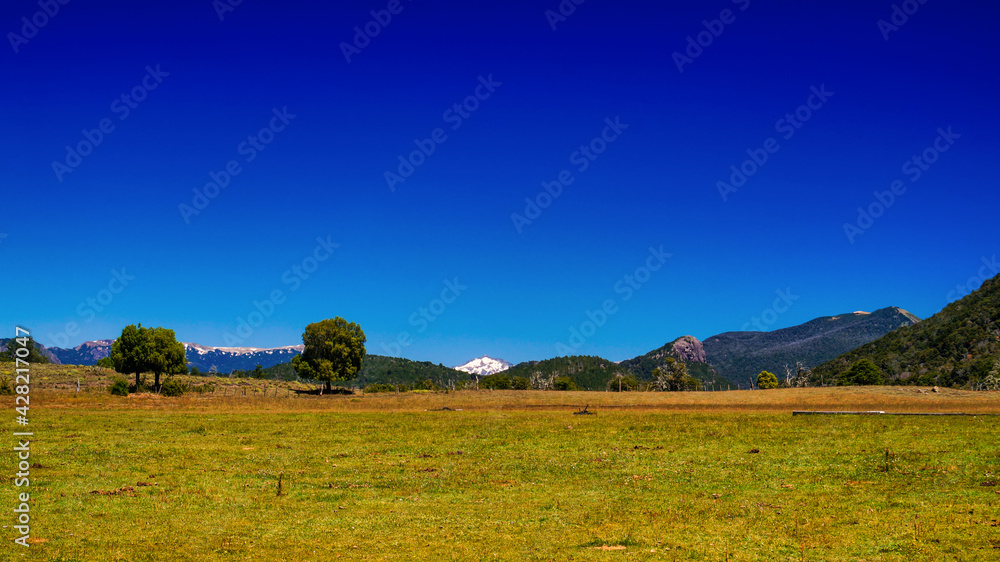 Fototapeta premium Patagonia landscape. A green large meadow with a few trees and the mountians behind. Under a clear blue sky 