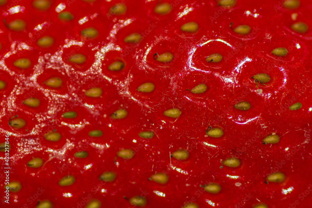 fresh red strawberry macro view fresh red strawberry macro view