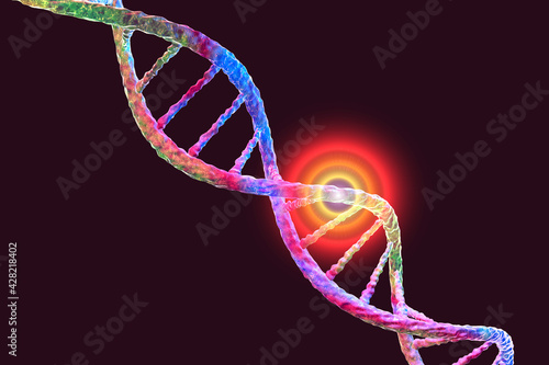 Genetic mutation, conceptual 3D illustration. Double stranded DNA with mutation in a gene. Concept for genetic disorder