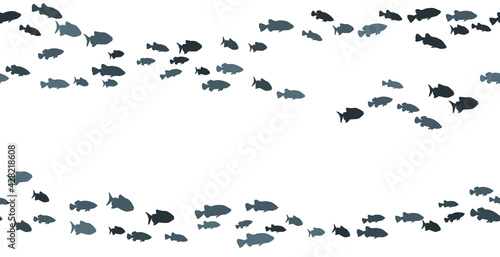 School of carp fish swimming vector frame print.