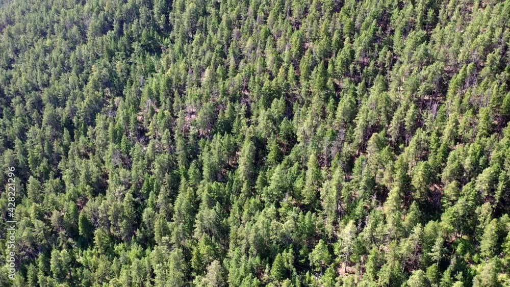 aerial drone over Wyoming in Bighorn Mountains aerial drone over Wyoming in Bighorn Mountains