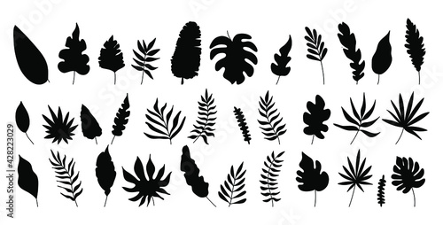 Vector illustrations silhouette of palm trees and leaves. Tropical collection isolated on background.