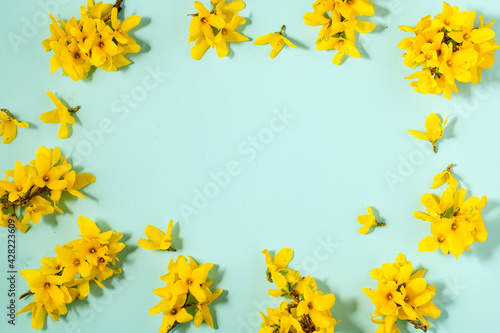 Pattern with fresh yellow flowers on pastel backround.