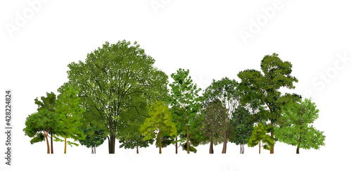 Realistic Forest Wood Composition