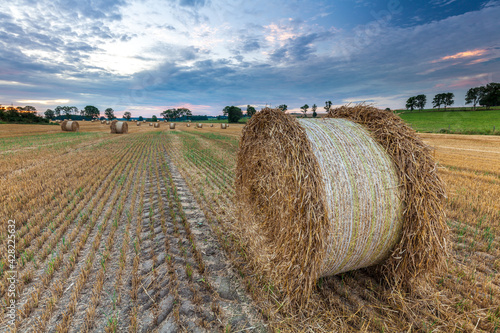 Fototapeta Naklejka Na Ścianę i Meble -  View of the Masurian fields.