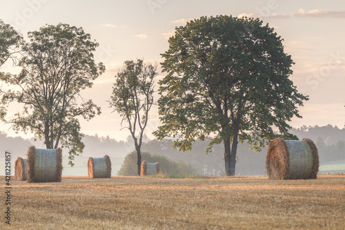 Fototapeta Naklejka Na Ścianę i Meble -  View of the Masurian fields.