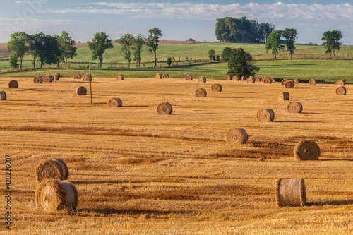 Fototapeta Naklejka Na Ścianę i Meble -  View of the Masurian fields.