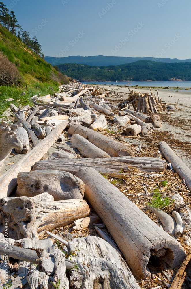 Pales of logs at the ocean beach in Vancouver, Canada.