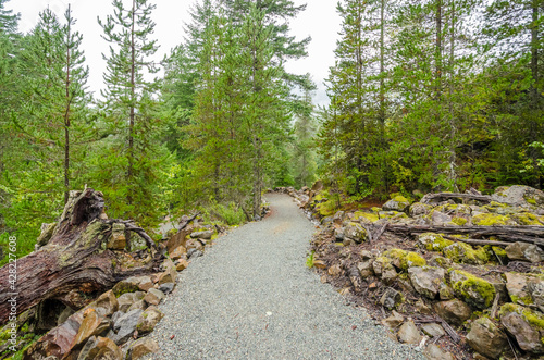 Fragment of Nita Lake Trail in Whistler, Vancouver, Canada.