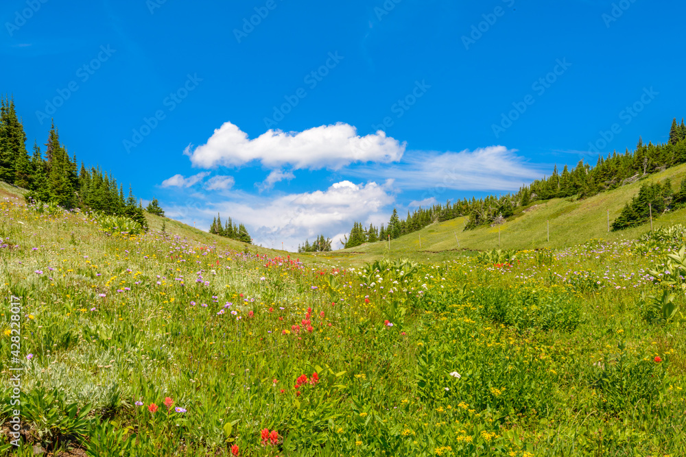 Beautiful landscape of valley in Alpine mountains, small trail, hike root, majestic picturesque view in sunny day