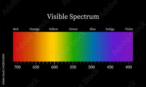 Visible spectrum on black background. Color electromagnetic spectrum, light wave frequency. Vector illustration.