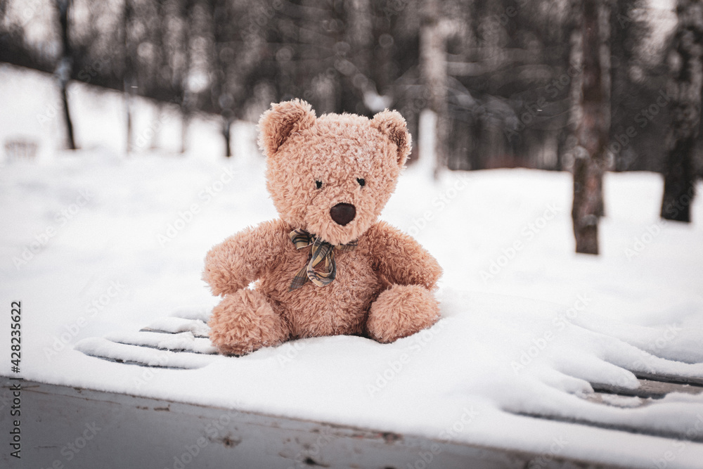 The toy bear was left in the winter at the children's playground The toy bear was left in the winter at the children's playground