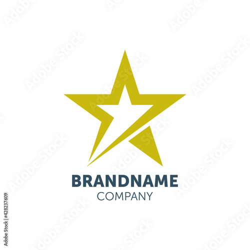 star logo design with geometry