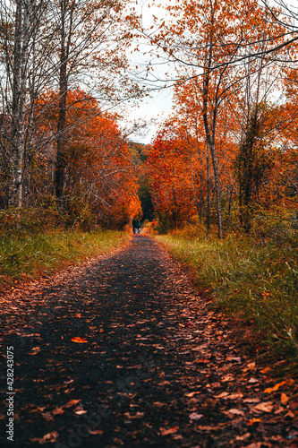 Creeper Trail