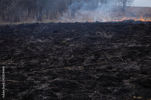 Burning dry grass on the field. On a hot day, dry grass burns on the field. Careless handling of fire. Forest fire. Fire in the field.