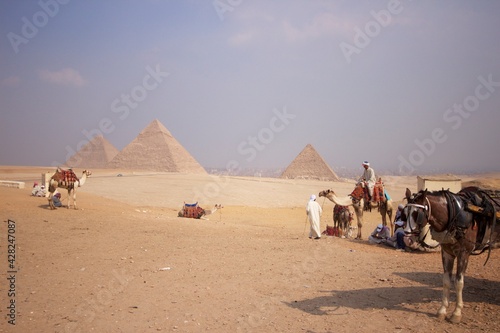 horse   camels near the pyramids of the Giza Necropolis near Cairo Egypt