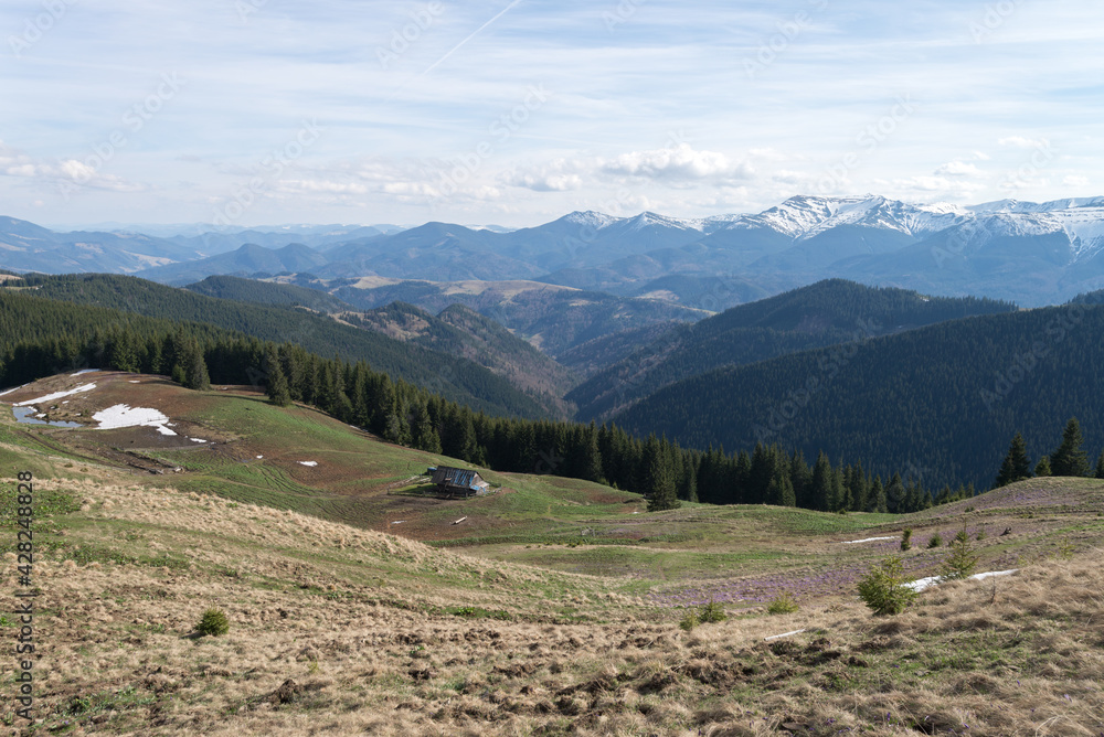Panoramic view of spring Carpathian Mountains