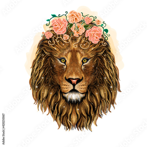 Lion with flowers. Color, graphic, hand-drawn portrait of a lion looking ahead on a white background. King head isolated on white background.
