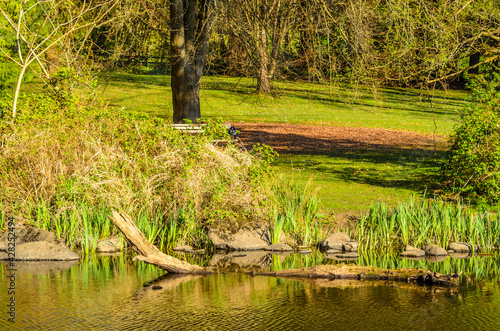 Fragment of Deer Lake trail in Vancouver, Canada.