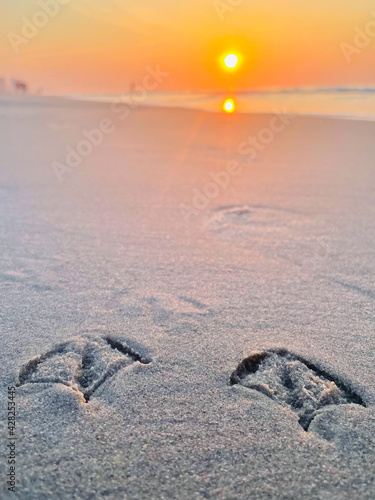 Bird feet in the sand