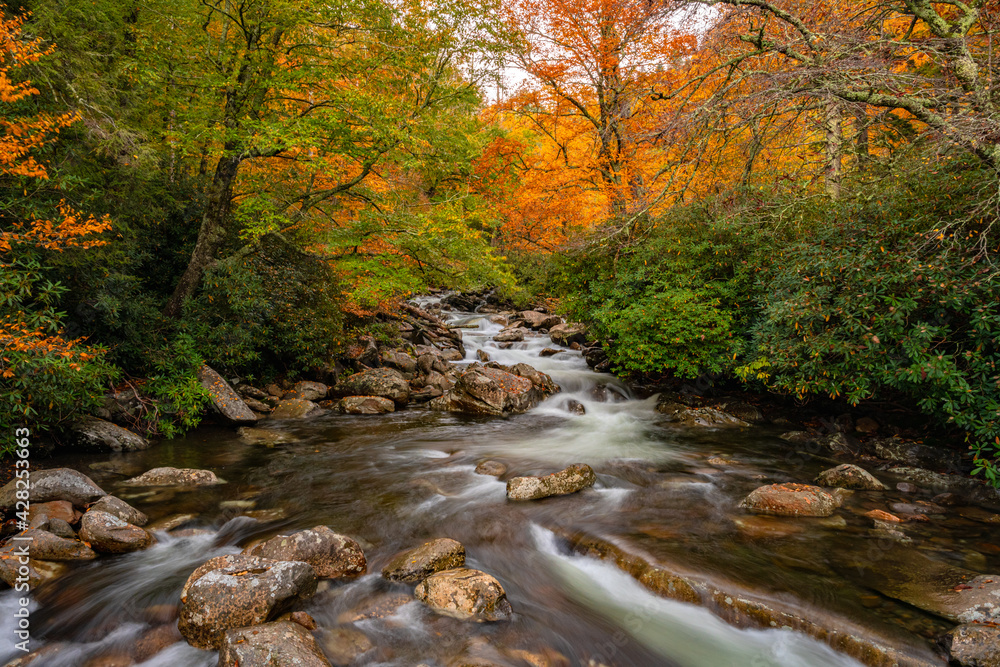 West Prong of the Little Pigeon River with Fall Colors