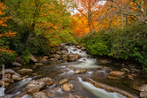 West Prong of the Little Pigeon River with Fall Colors