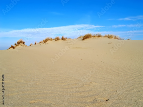 Endless sands of the Curonian Spit. Kaliningrad region