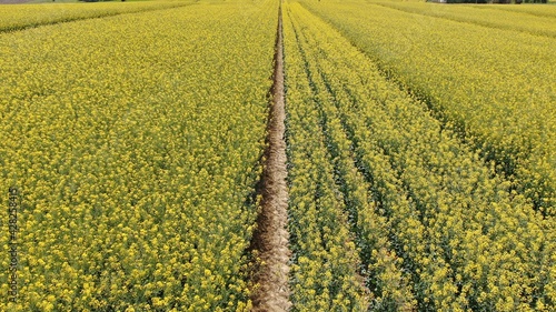 Lot-et-Garonne, France, Europe