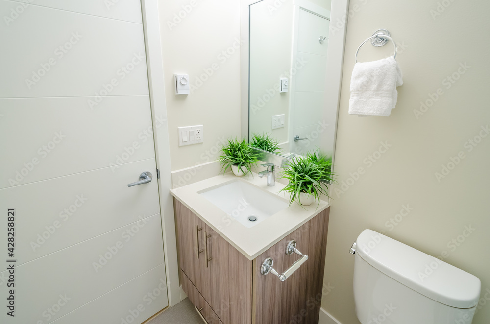 Obraz premium Fragment of a luxury bathroom