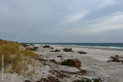 Poland, Hel - beach and sea at winter time. Trees lieing at the beach. 