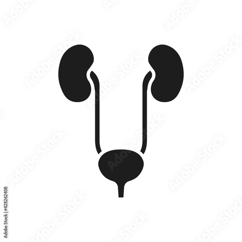 Urinary bladder and kidneys icon. Urogenital system. Vector. Flat design.