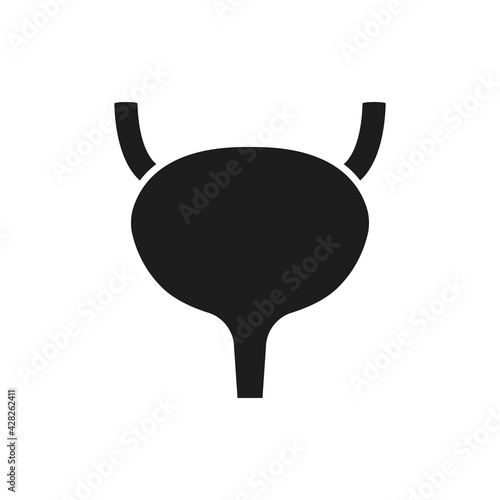 Urinary bladder icon. Vector. Flat design.