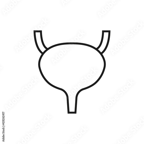 Urinary bladder icon. Vector. Line style.