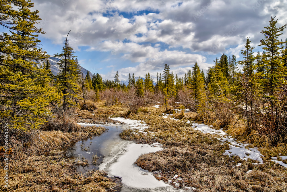 Landscapes along Policeman's Creek in Canmore Alberta amidst the Rocky Mountains
