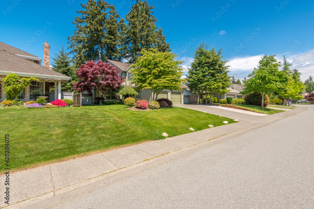 A perfect neighborhood. Houses in suburb at Spring in the north America