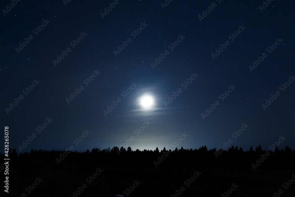 Starry sky and moon over the field. Starry night over the forest.
