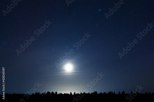 Starry sky and moon over the field. Starry night over the forest.