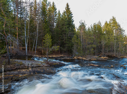 A forest stream in a Scandinavian forest in early spring, long exposure