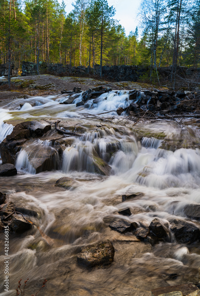 A forest stream in a Scandinavian forest in early spring, long exposure