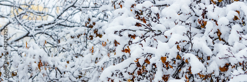 Snow on the branches of trees and bushes after a snowfall. Beautiful winter background with snow-covered trees. Plants in a winter park. Cold snowy weather. Cool panoramic texture of fresh snow © Andrei Stepanov